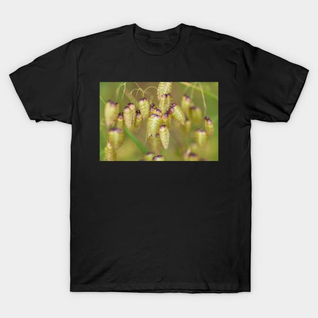 quacking Grass T-Shirt by jvnimages